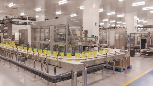聯合利華全國首個全品類食品工廠投產，智能制造與供應鏈協同樹立新標桿